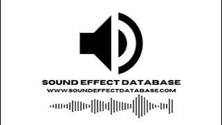 Hotel Lobby Ambience Sound Effect