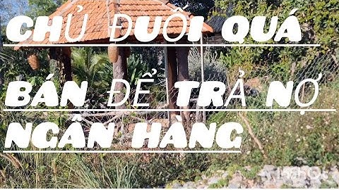 Cần bán để trả nợ ngân hàng.tại xã kim long huyện châu đức bà rịa vũng tàu.