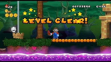 Some NewerSMBW level or something