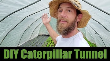 DIY Gothic Caterpillar Tunnel