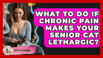 What To Do If Chronic Pain Makes Your Senior Cat Lethargic? - Happy Cat Handbook