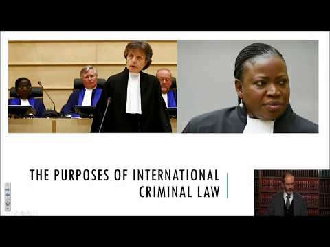 The Purposes of International Criminal Law