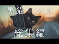 黒猫ジジのショートまとめ🐾