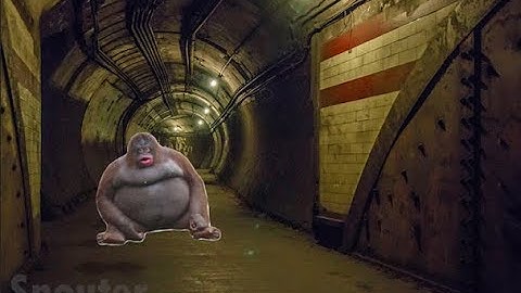 Uh oh, stinky horror