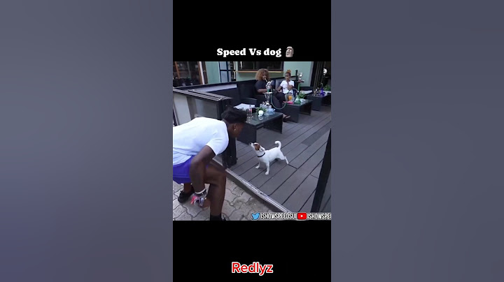 Speed vs Dog 🐶 fight