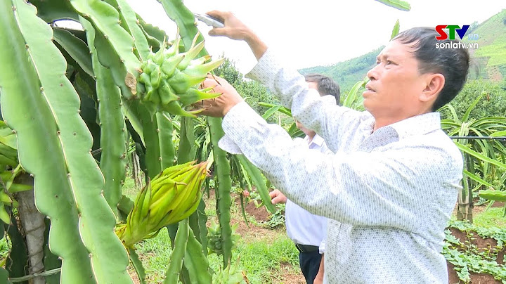 Huyện thuận châu có bao nhiêu xã năm 2024