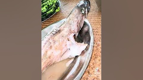 Đãi tiệc Tân hôn ở Tân Lý Đông