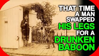 That Time A Man Swapped His Legs For A Drunken Baboon