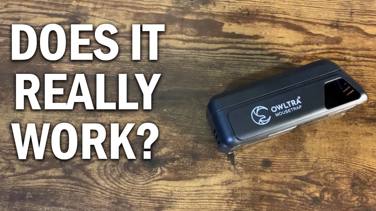 OWLTRA Indoor Electric Mouse Trap Review - Does It Really Work? 