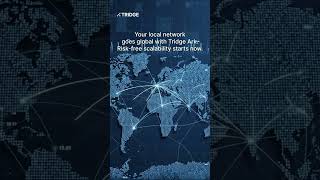 Is your network actually turning into profit?