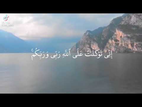 ارح قلبك 20 ثانيه قرأن كريم