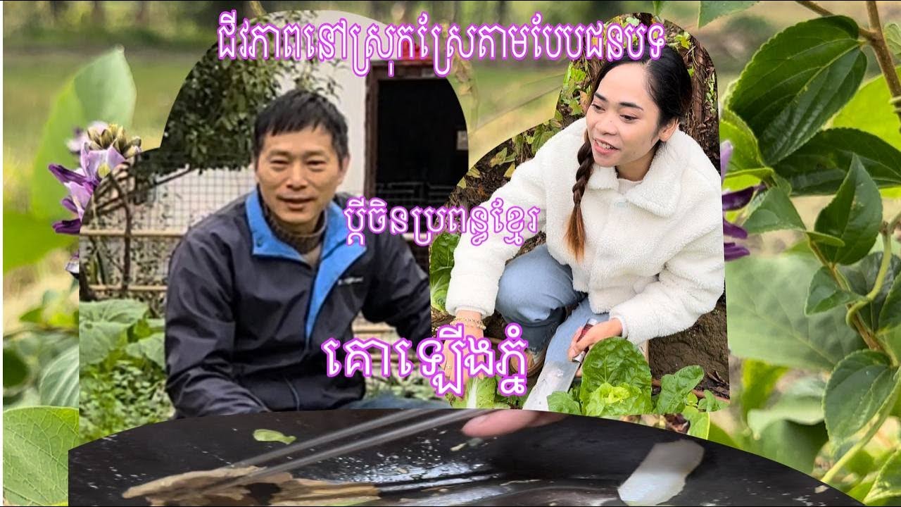 ដកស្ពៃបូកគោ ទៅលក់នៅផ្សារចិន