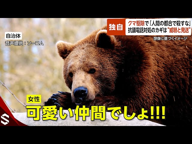 熊の電話 sddefault.jpg