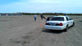 k-9 Demo