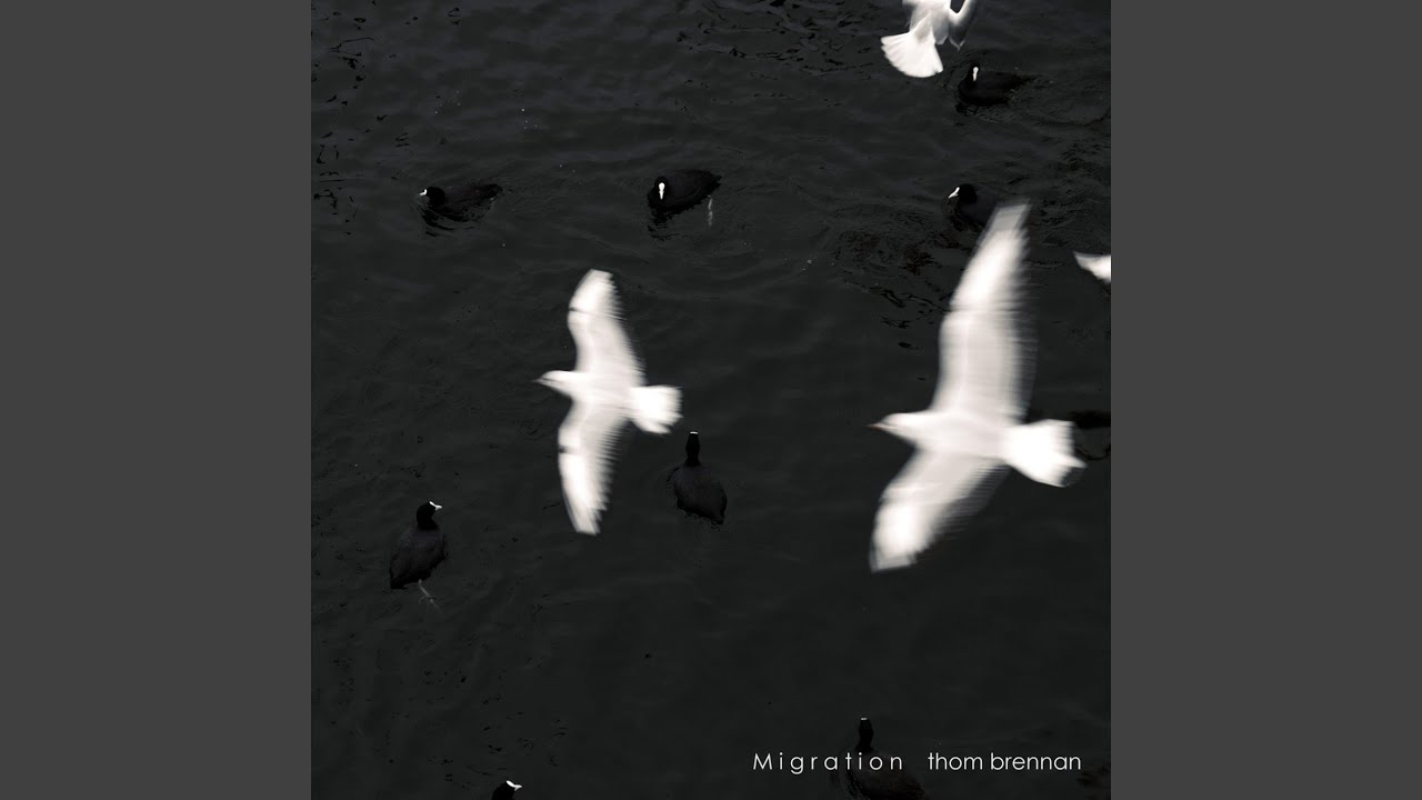 Watch Migration, Pt. 3 on YouTube Watch Migration, Pt. 3 on YouTube