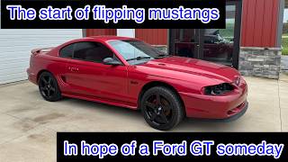 Video #1 of Flipping Mustangs with Big Dreams