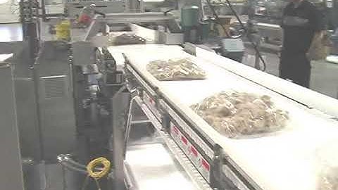 20195 BluePrint Automation (BPA) Gravity 100r Case Packer