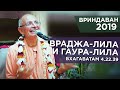 2019.11.05 - Шримад Бхагаватам 4.22.39 (Вриндаван) - Бхакти Вигьяна Госвами