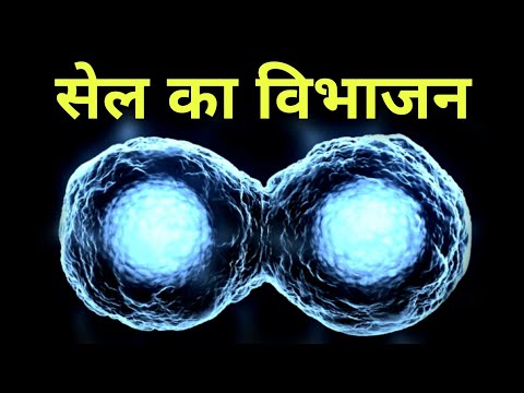 वीडियो: स्पाइरोकेटोसिस का क्या अर्थ है?