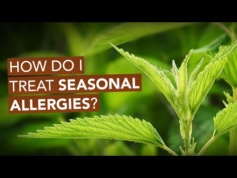 How Do I Treat Seasonal Allergies