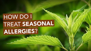 How Do I Treat Seasonal Allergies?