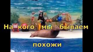 Как узнать на кого ты похож? Как узнать на кого ты похож?