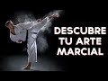 ¿Cuál es tu Arte Marcial? | Test Divertidos