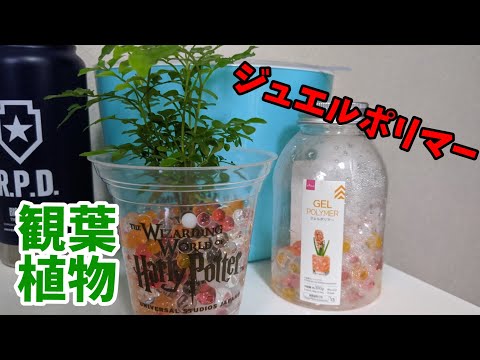 ジュエルポリマー観葉植物の作り方 Youtube