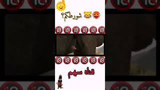 فيديو رمانسي 😹☹️ شلونهم الربع 😁