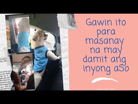 Video: 3 Mga Paraan upang Mapanatiling Moisturized ang mga labi