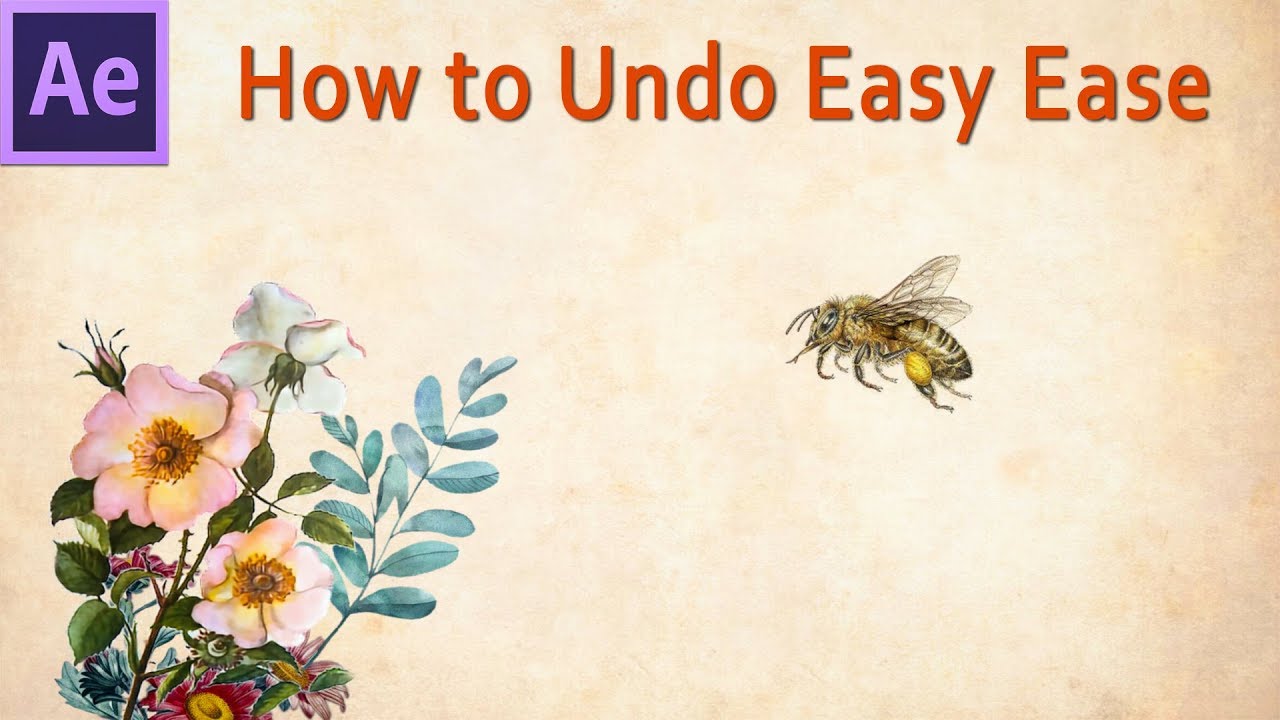 How To Remove Easy Ease After Effects