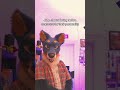 infect the normies... #furry #furryfandom #fursuit #fursuiter #fursuiters #furries