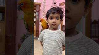 கள Udan Oru நள