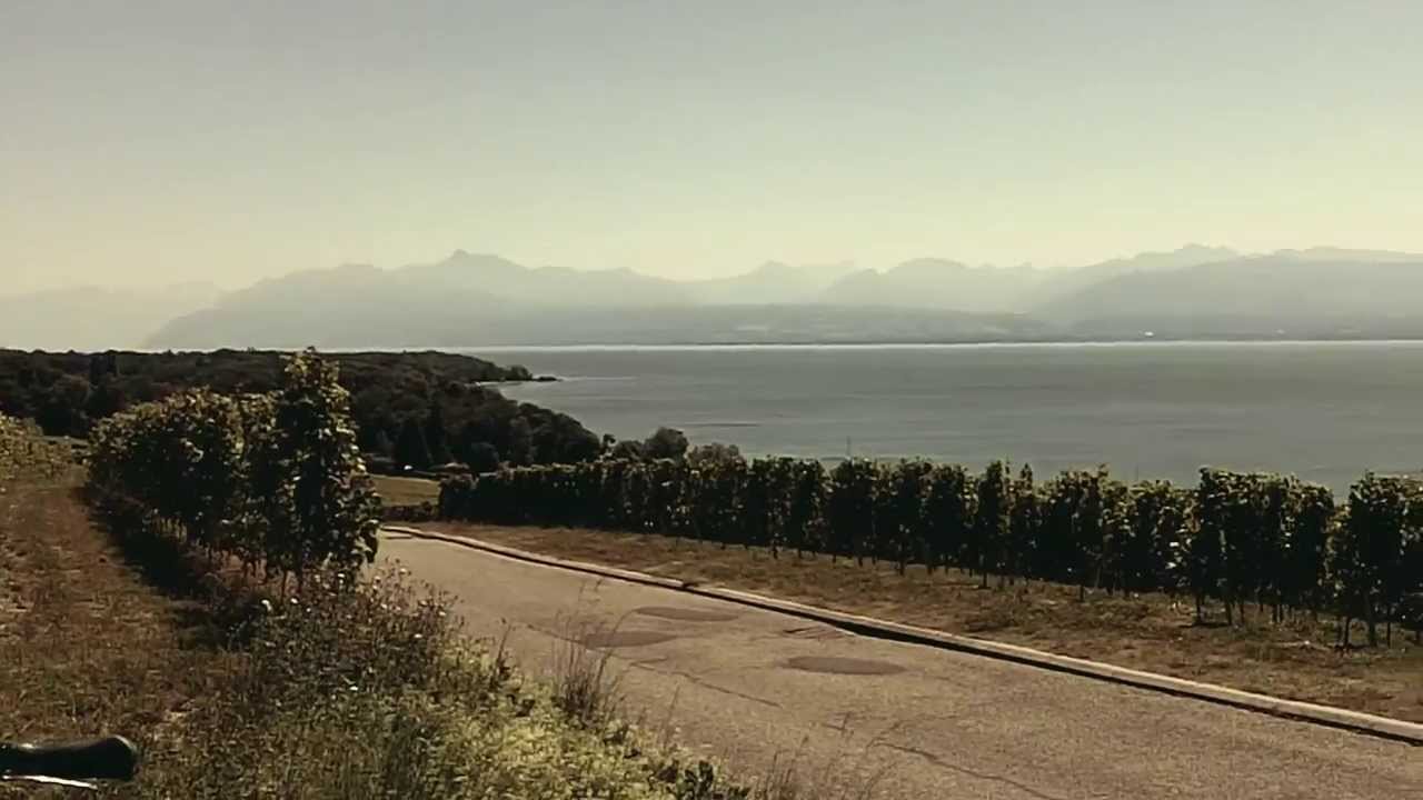 Thollon   Everything is possible