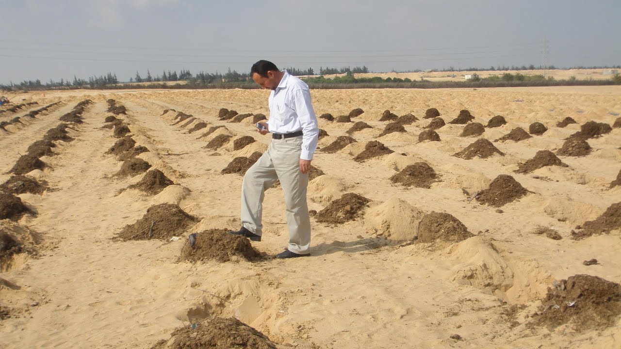 ازاي تشتري أرض بالطريقة الصح م اسعد الفقي 01090855418