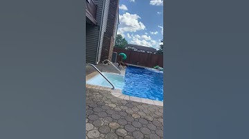 Doggo Conquers Fear of Pool to Save Human || ViralHog