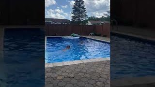 Doggo Conquers Fear of Pool to Save Human || ViralHog
