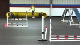 Team Little Bits CPE Agility - Bo Jackpot L3 5-10-13