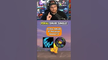 FERAL DRUID - WILDSTALKER MEOW MEOW?! | Season 3 - ST Rotation - Patch 11.2