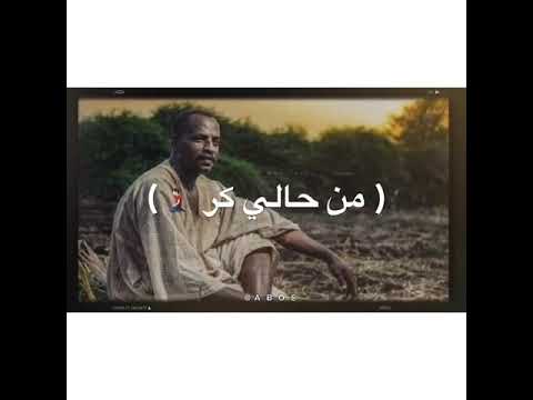 سهر القوافي عمر محي الدين شيشك بشيش