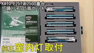 鉄道模型Nゲージ KATO E257系2500番台「踊り子」5両セットに室内灯を取り付ける【やってみた】