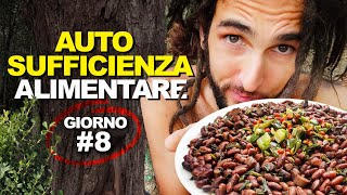 Fagioli e Erba Cipollina - AUTOSUFFICIENZA ALIMENTARE (Giorno #8)