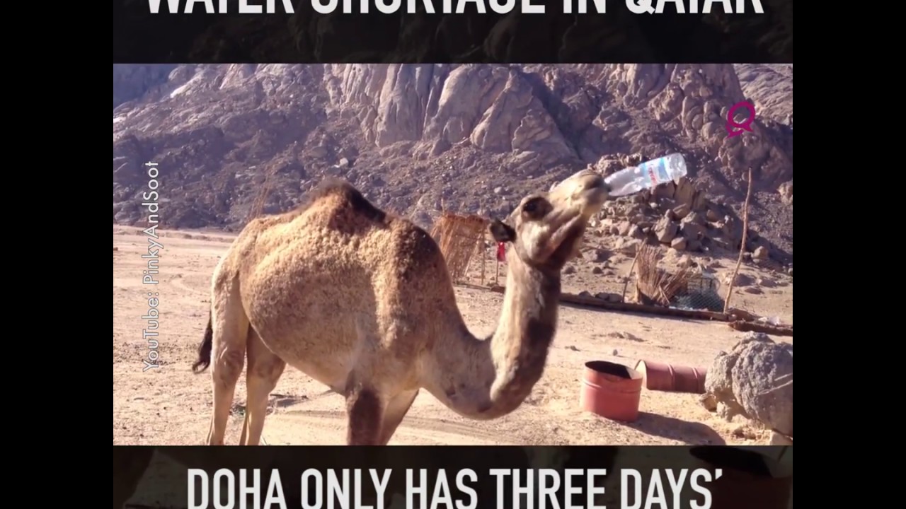 Water Shortage in Qatar YouTube