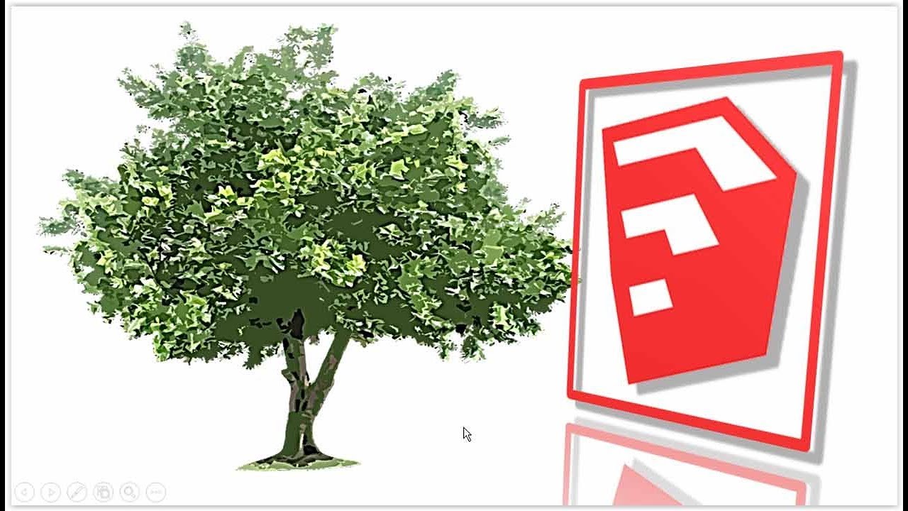 FR Arbre  sketchup  Comment faire des arbres  sur sketchup  