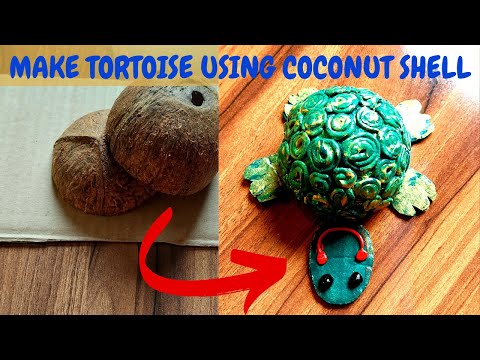 How to make tortoise with coconut shell@Crafts Walker