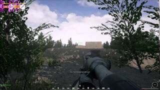 Squad Team Kill