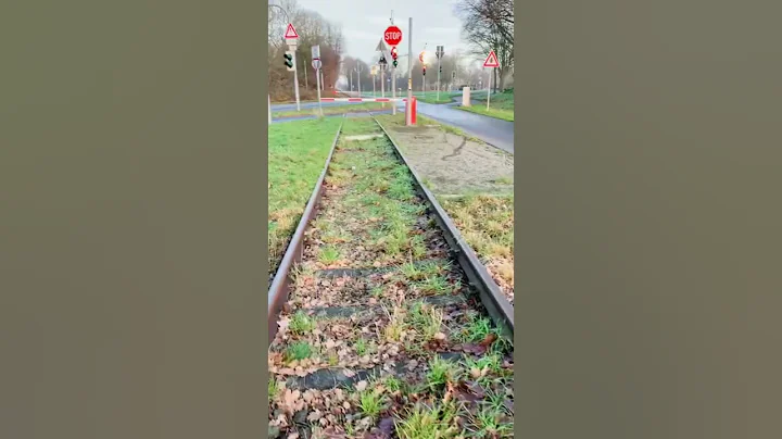 Euhh What!? Railway Crossing Wrong Way.. #shorts