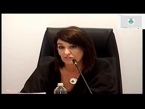 Primera sessió del debat sobre l'estat de Formentera 2022