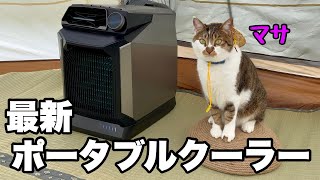 夏の車中泊やキャンプに猫のマサとテントや車内で最新ポータブルクーラーの性能を検証してみました。