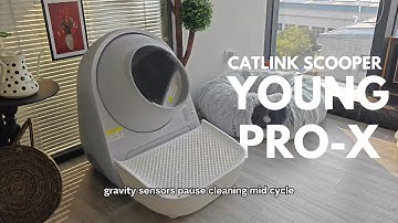 How CATLINK Scooper Young Pro-X Self-Cleaning Litter Box Keeps Your Cat Safe